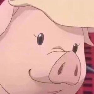 Meet your Posher, Paul